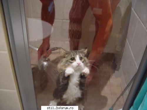 Poze mijto si super fainute merita vazute! - S...O...S... pls !!!!!!!! - Poze